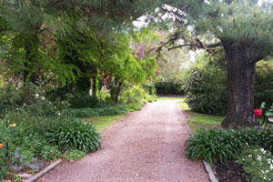 Jardín Botánico de Montevideo
