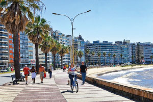 what to do in montevideo