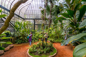 Botanical Garden Buenos Aires