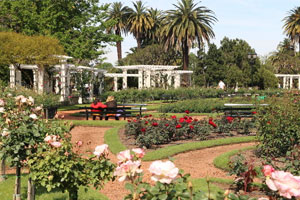 Rose Garden Buenos Aires